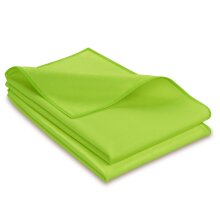 PROFI Fenstertuch 40x40 cm grün