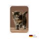 PocketCleaner® mit Designmotiv Katzen
